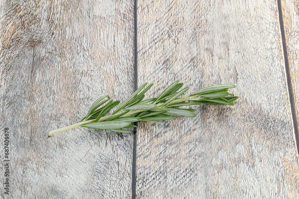 Rosemary branch - organic spicy herb Rosemary branch - organic spicy herb