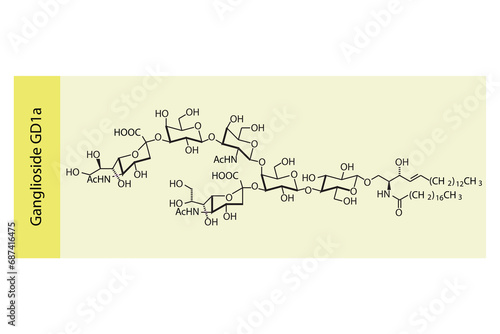 Molecular structure diagram of Ganglioside GD1a - Disialoganglioside-GD1a. yellow Scientific vector illustration.