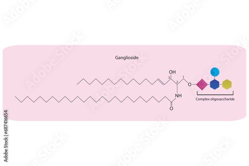 Diagram showing schematic molecular structure of Ganglioside pink Scientific vector illustration.