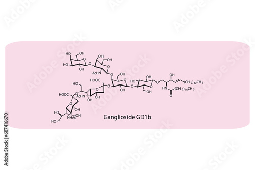 Molecular structure diagram of Ganglioside GD1b pink Scientific vector illustration.