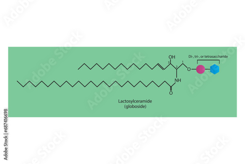 Diagram showing schematic molecular structure of Lacosylceramide (Globoside) green Scientific vector illustration.