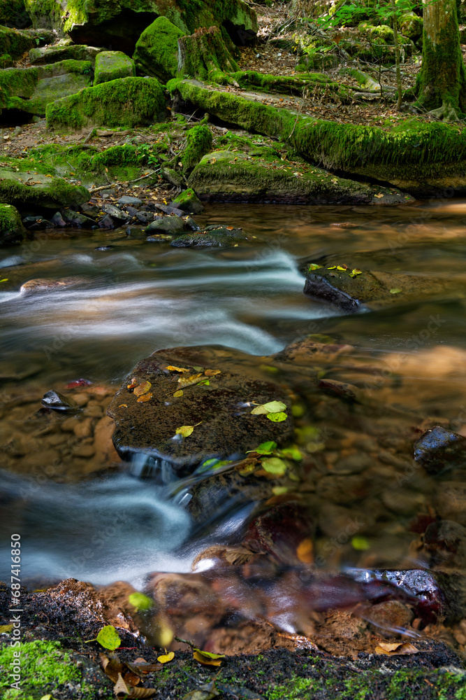  Der Flusslauf der Thulba in der Kernzone des Biosphärenreservats Rhön zwischen Oberthulba und Thulba, Landkreis Bad Kissingen, Unterfranken, Franken, Bayern, Deutschland