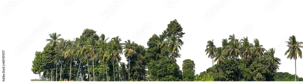 Obraz premium A group of rich green trees High resolution on transparent background.