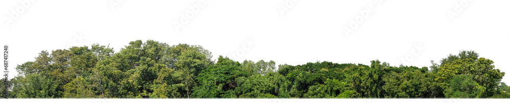 A group of rich green trees High resolution on transparent background.