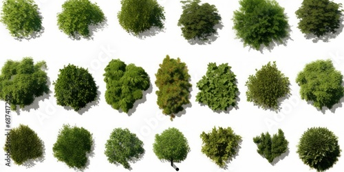trees from above, collection of lush plants isolated on white background, Generative AI
