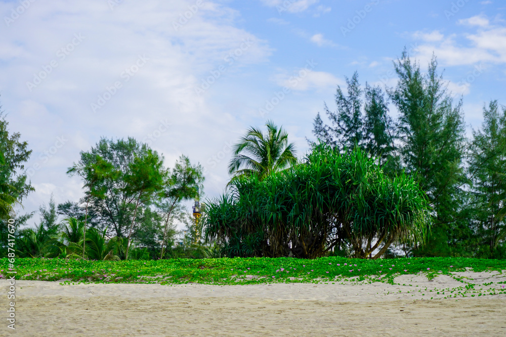 Fototapeta premium Thailand Phuket island lagoon area. nature and houses, beach and sea
