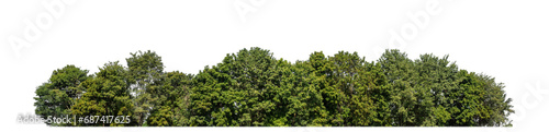 A group of rich green trees High resolution on transparent background. © Sarawut