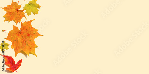Multicolored autumn leaves on a plain beige background. Top view. Flat lay. Copy space.
