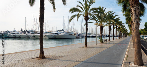 Paseo maritimo at early morning in Palma de Mallorca, Spain. Palm trees and Marina with Luxury yachts in the background. © UlyssePixel