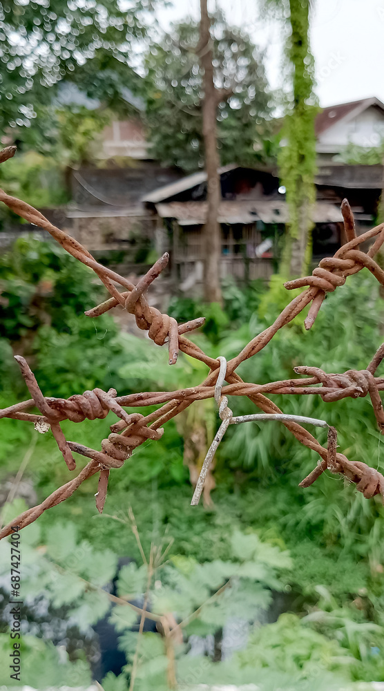 Fototapeta premium Rusty barbed iron fence, taken at close range