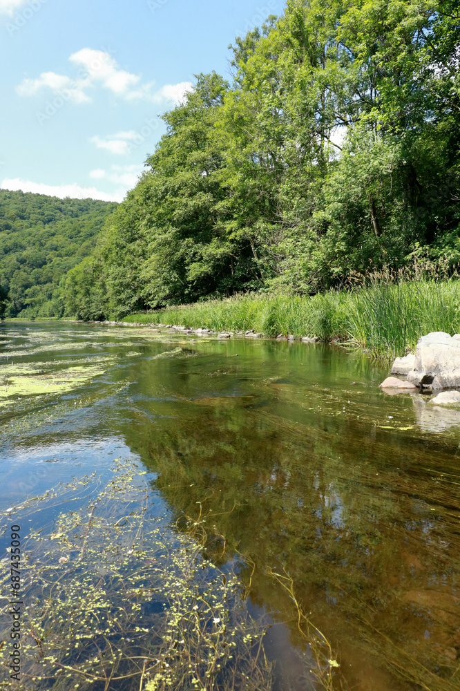 Fototapeta premium nature surrounding the river Semois in Belgium