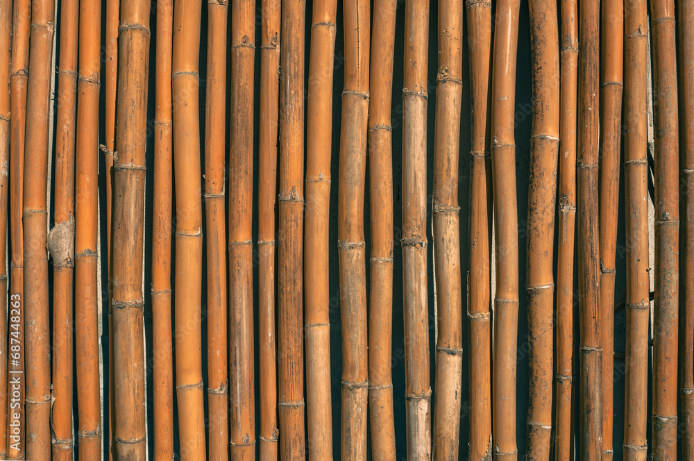 Fototapeta premium bamboo wall background