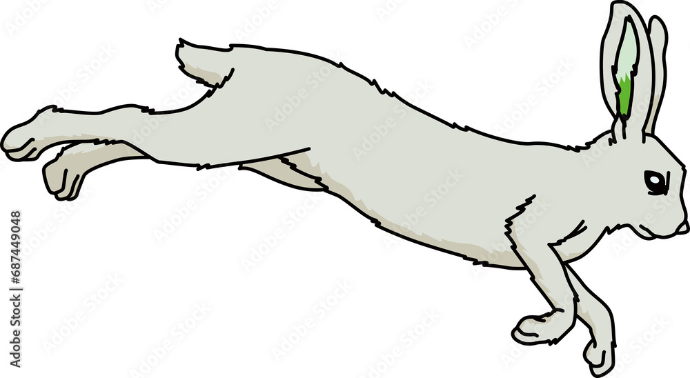うさぎ(Rabbit)(PNG) うさぎ(Rabbit)(PNG)