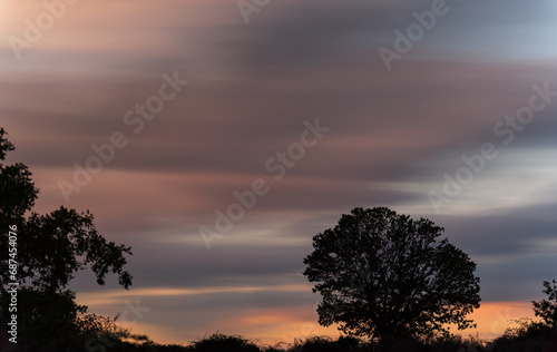 Tranquil Long Exposure at Dusk with Blurred Clouds and Silhouetted Chestnut Tree