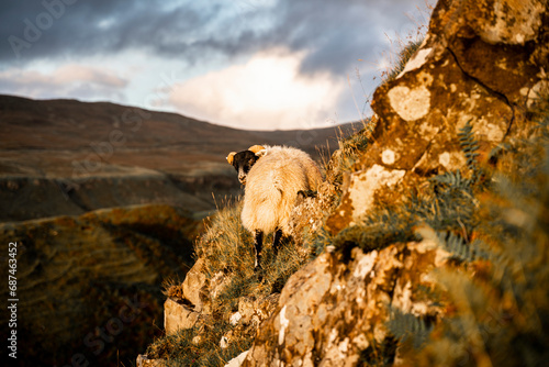 Schottland Fary Glen