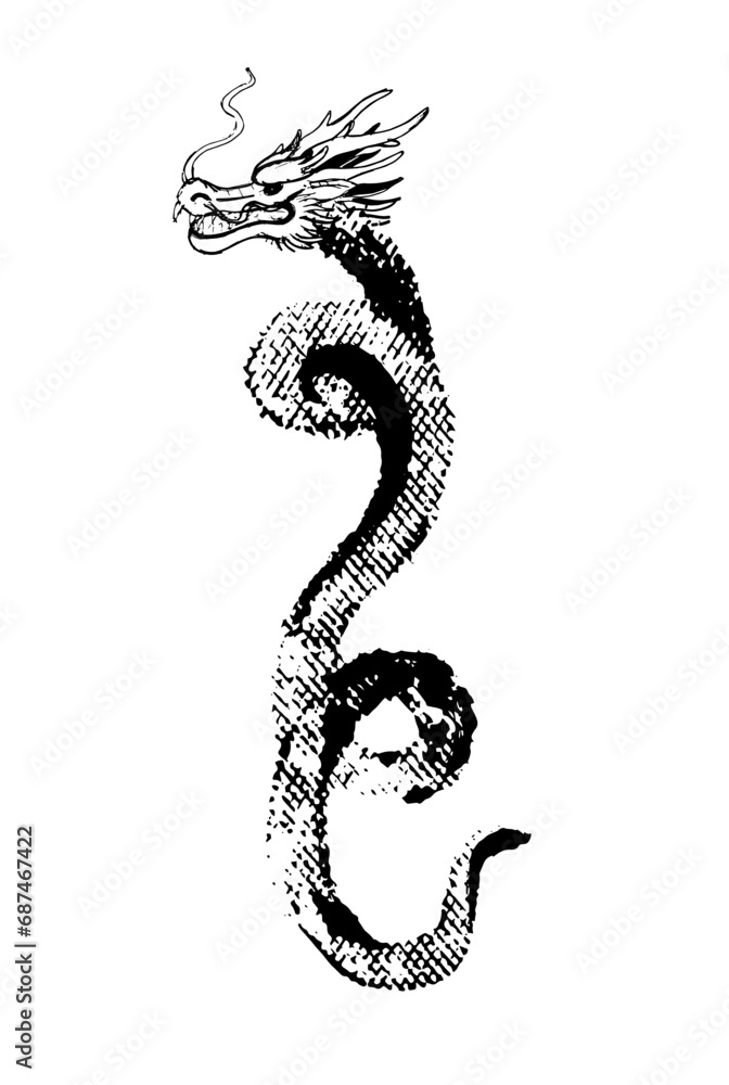 Fototapeta premium black textured dragon on white background grunge