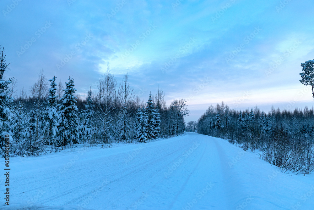 Fototapeta premium beautiful winter landscape, blue hour, dusk