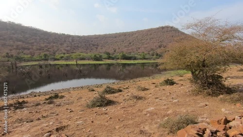 A beautiful pond in Ranthambore national park photo