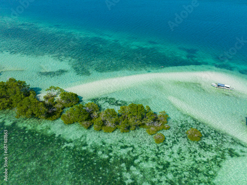 Fototapeta Naklejka Na Ścianę i Meble -  White sandbar and turquoise clear water. Vanishing Island. Samal, Davao. Philippines.