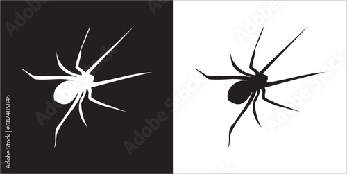 Illustration vector graphics of spider icon photo