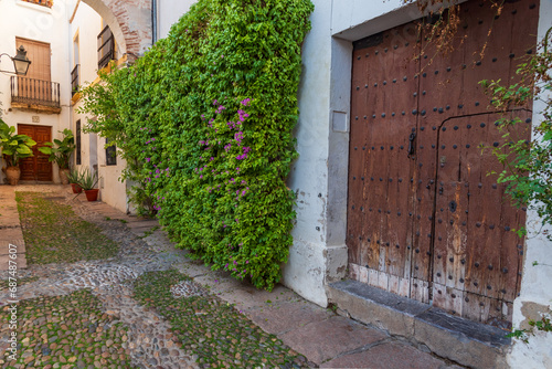 Narrow street with old gate and plants in the Jewish quarter of Cordoba, Andalucia. photo
