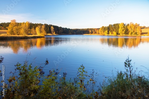 autumn view of pond with autumn forest landscape
