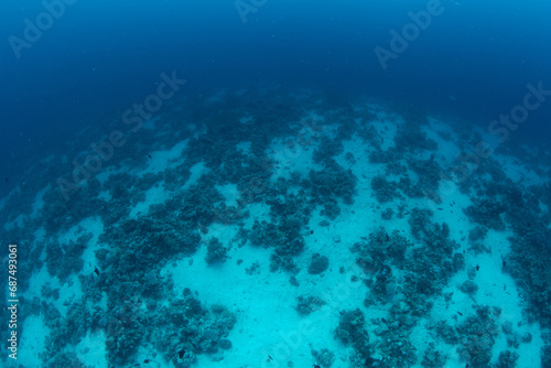 View over a coral reef in Marsa Alam, Egypt