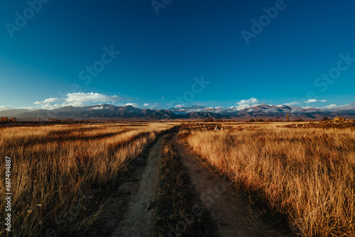 Road through field in the countryside on mountains background