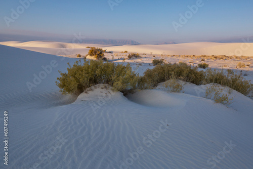 Fototapeta Naklejka Na Ścianę i Meble -  Grass in desert