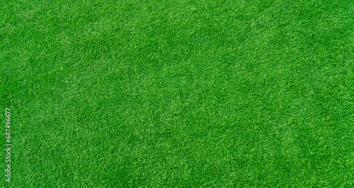 Green grass texture background, green lawn 