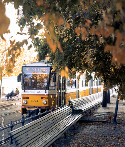 Yellow Tram in Budapest in Autumn (ID: 687502260)