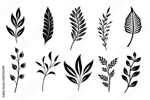 Set of leaf silhouette, botanical elements. Vector leaves isolated on white background. Generative ai photo