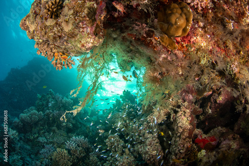 Colorful sheltered corner on the coral reef  bright  against the sun  St Johns Reef  Marsa Alalm  Egypt