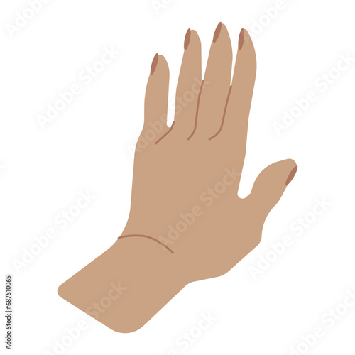 Hand isolated on white background. Modern vector flat illustration