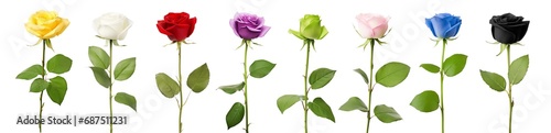 Rose set - Color set - Red Rose - Pink Rose - Purple Rose - Blue Rose - Green Rose - Yellow Rose - Black Rose - White Rose - Transparent PNG #687511231