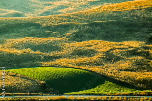 Colorful land  waves of grass and trees  warm light shinning over the beautiful Earth