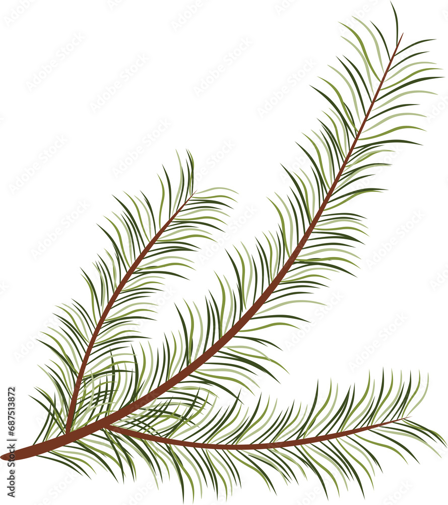 beautiful green Christmas tree from a natural forest. branches of greenery needles. Christmas decorations with fir branches. Christmas decoration for the new year - PNG without background