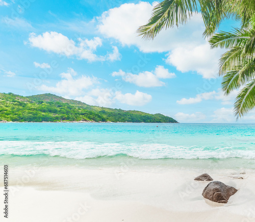 White sand and palm trees in Seychelles