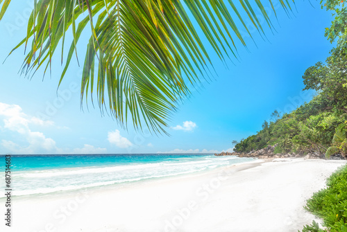 Palm trees and white sand in Anse Georgette in Praslin island photo
