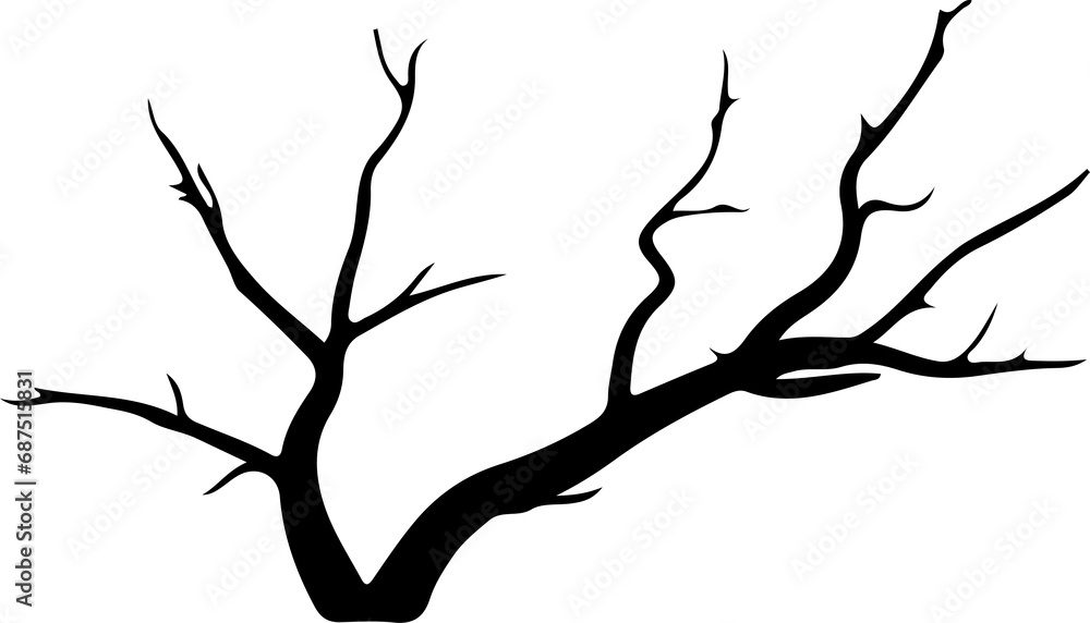 Fototapeta premium Tree branch slihouette