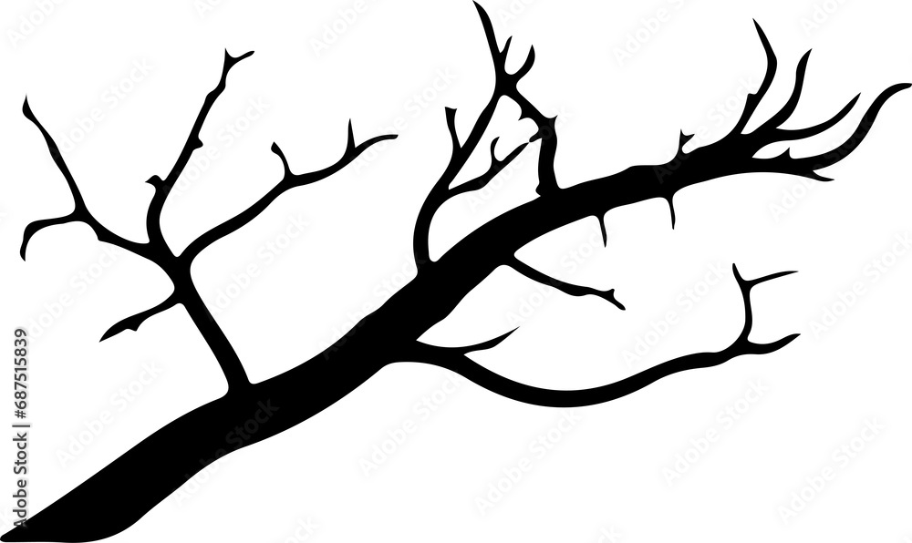 Fototapeta premium Tree branch slihouette