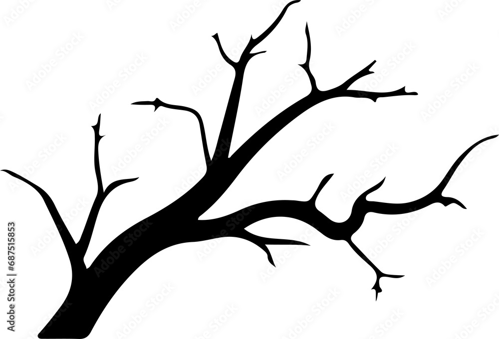 Tree branch slihouette Tree branch slihouette