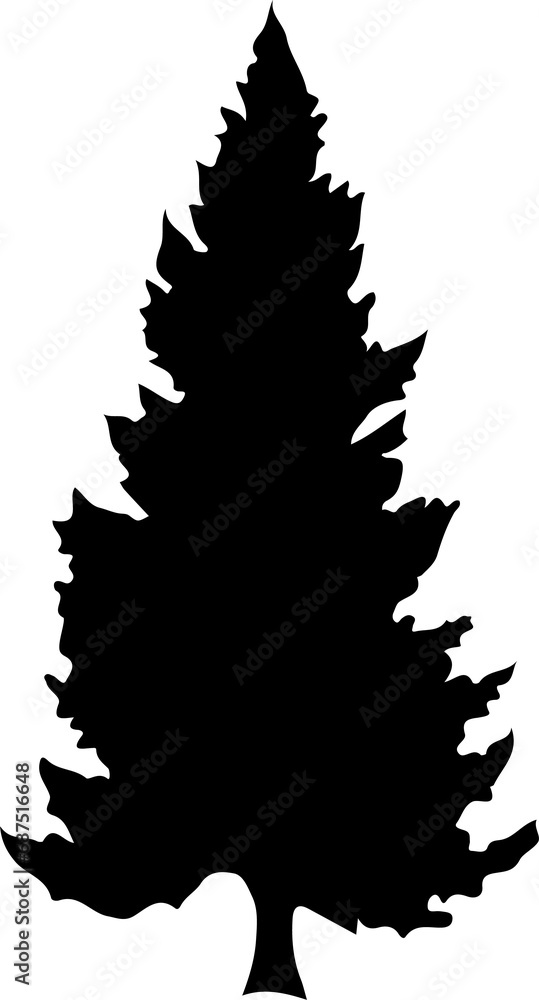 Christmas tree silhouette isolated on white Christmas tree silhouette isolated on white