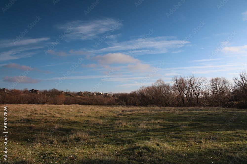 A field with trees and blue sky