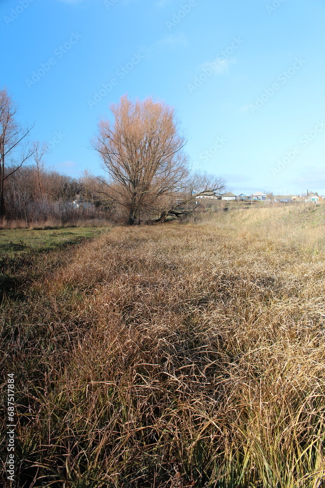 A grassy field with trees and buildings in the background