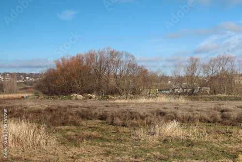 A field with trees and grass