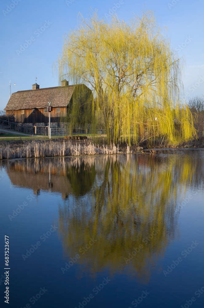 barn on farm bordering pond and willow tree at nature center in west saint paul minnesota barn on farm bordering pond and willow tree at nature center in west saint paul minnesota