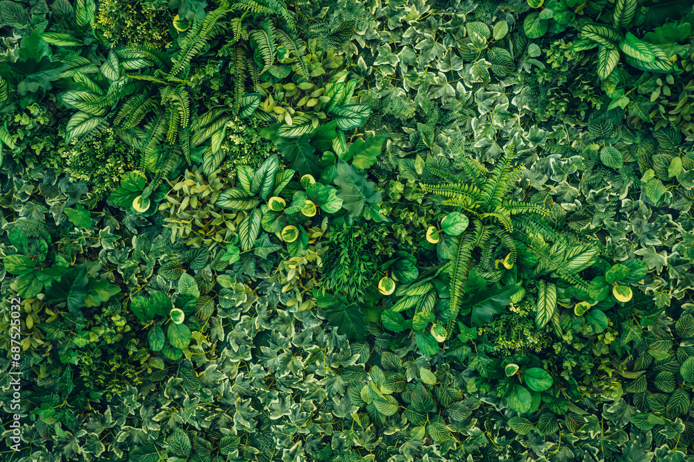 Obraz premium Close up group of background tropical green leaves texture and abstract background. Tropical leaf nature concept..