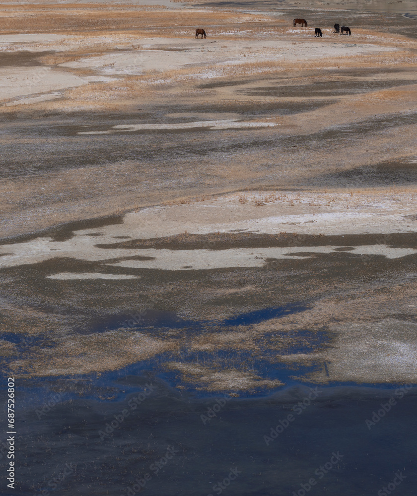 Fototapeta premium Morandi colored Pamir wetland