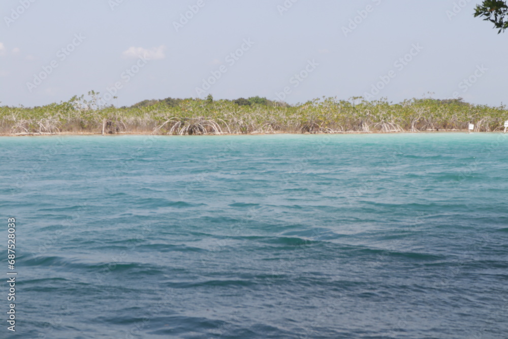 Obraz premium beautiful colour from the laguna de Bacalar, Mexico - Quintana Roo